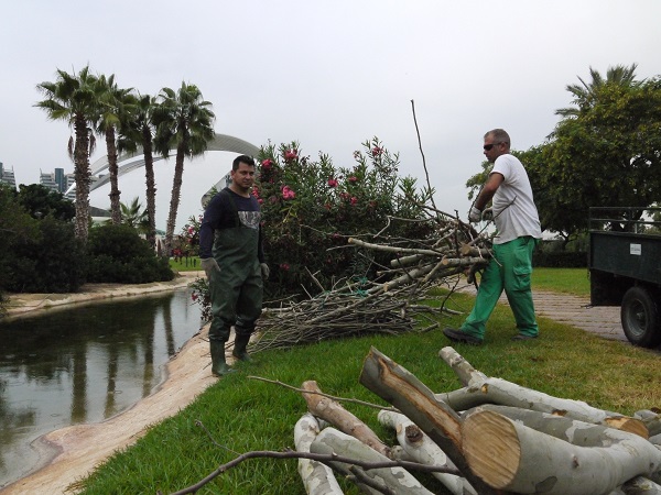 Equipo de Bob Verschueren trabajando en el montaje de las obras en el río Turia