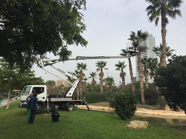 Montaje de las instalaciones de Bob Verschueren en los jardines del río Turia