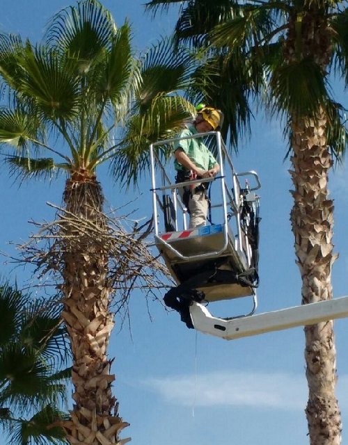 El artista Bob Verschueren durante la creación de "Hanging Nest"