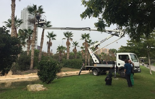 Proceso de montaje de la obra "Hanging Nest"