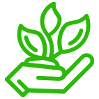 Plantacion