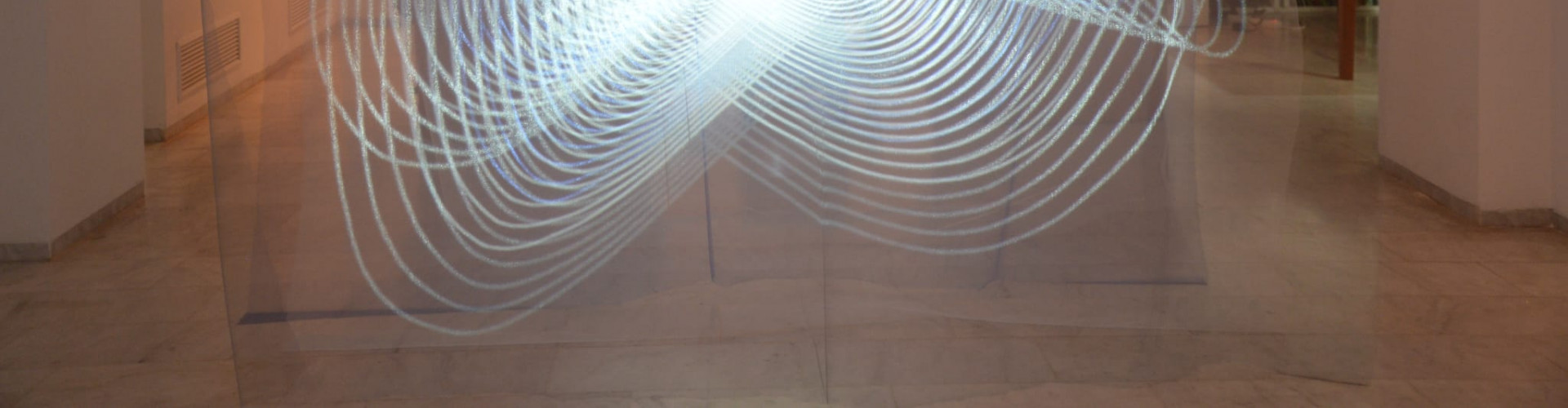 Javier Riera proyecciones