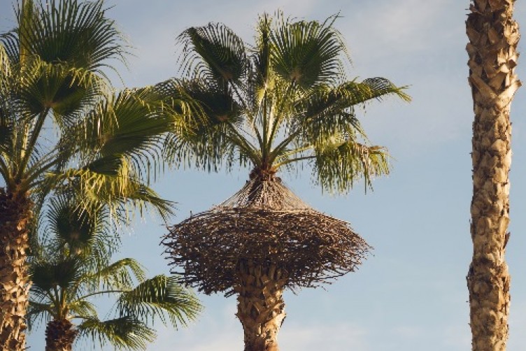 Instalación “Hanging Nest” (2016) en los jardines del Turia