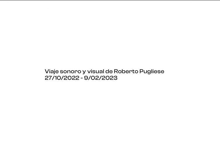 performance-roberto-pugliese