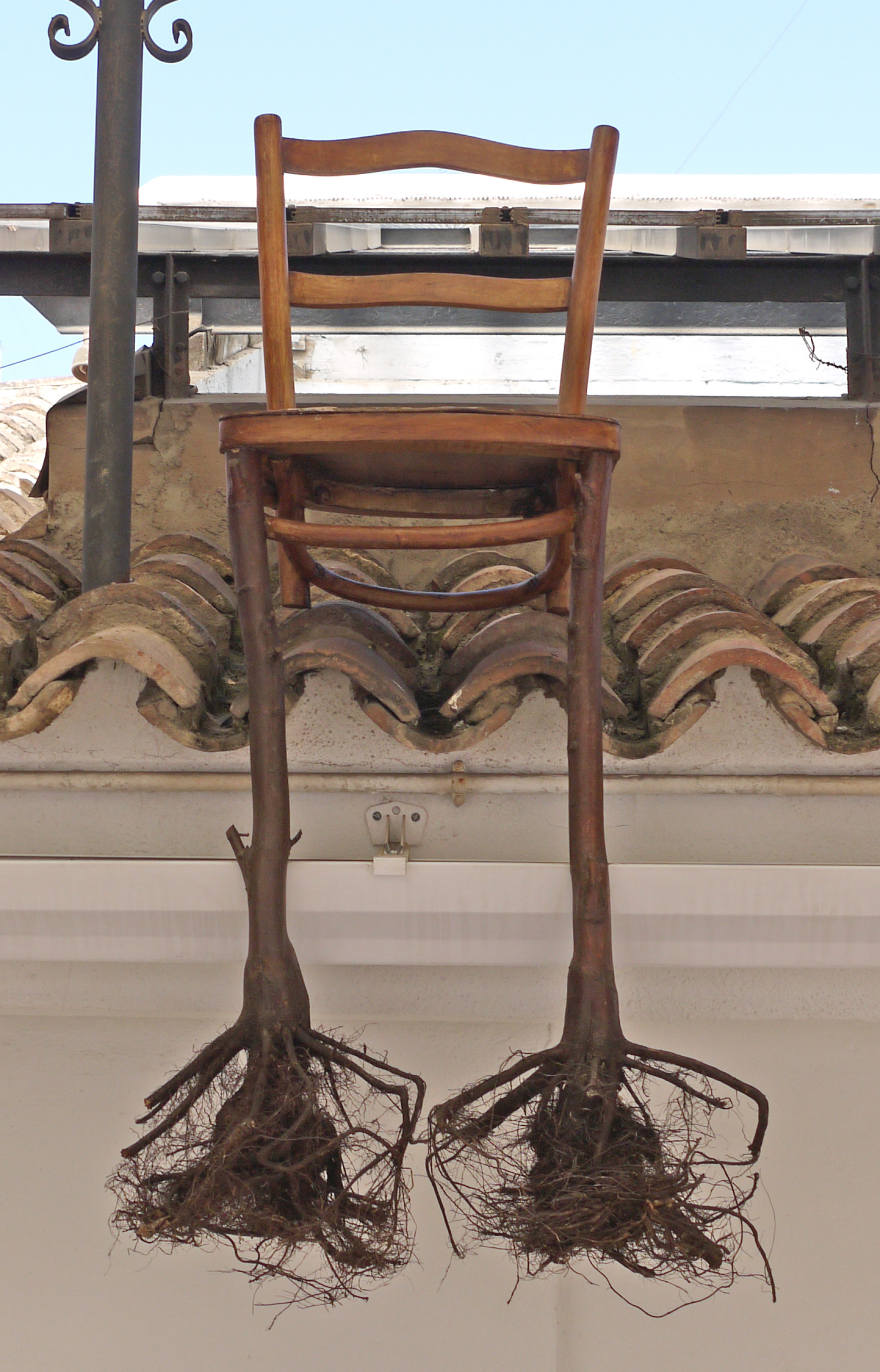 "A First Vegetal Flow" | Pedro Medina "A First Vegetal Flow" | Pedro Medina