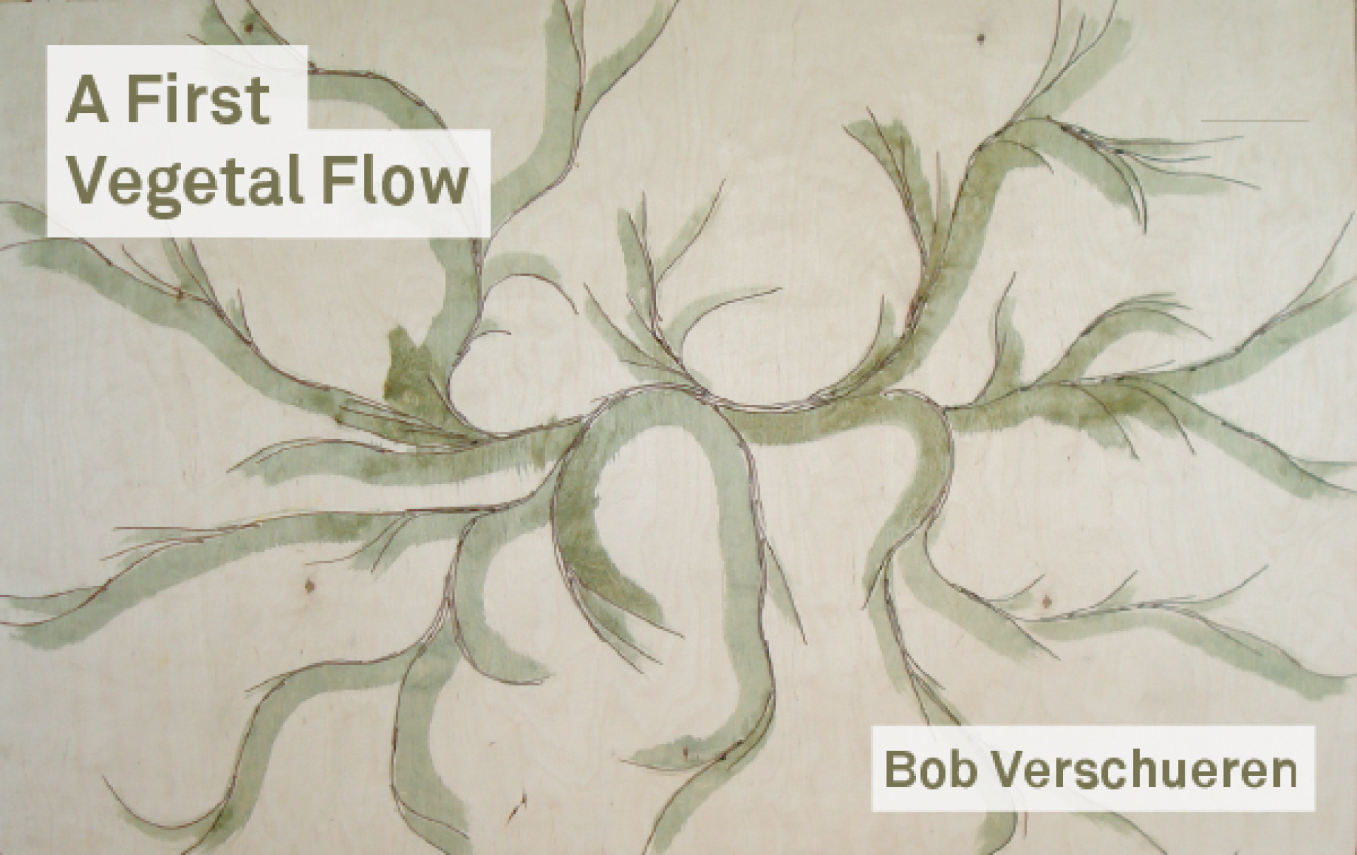 A First Vegetal Flow A First Vegetal Flow
