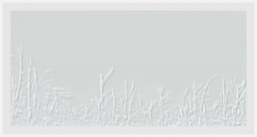 Grass