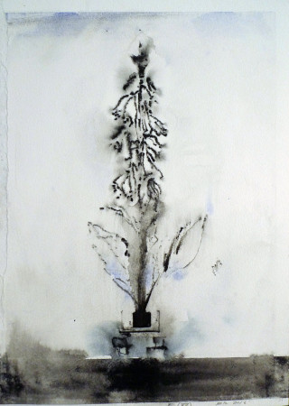 Flowers 15