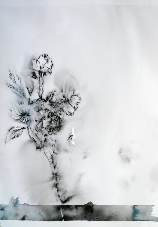 Flowers 1
