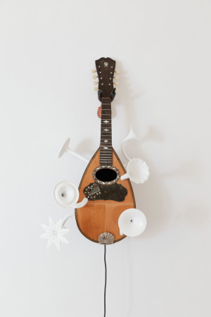 Strumenti aumentati (mandolina)