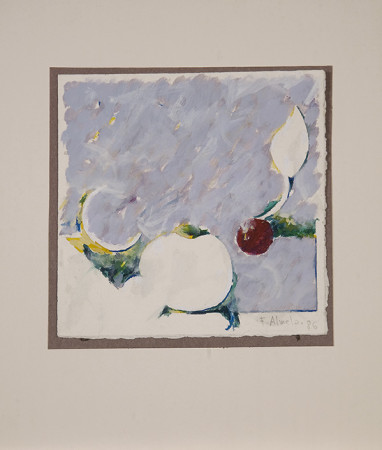 Frutas y hojas (boceto)