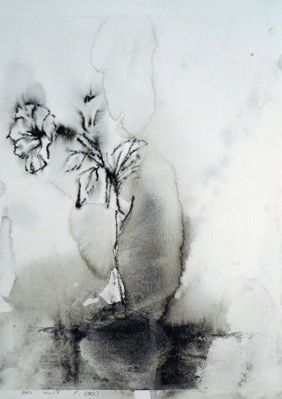 Flowers 11