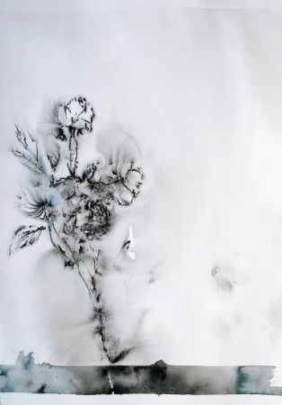Flowers 1